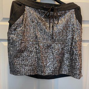 Ann Taylor Shimmer Skirt